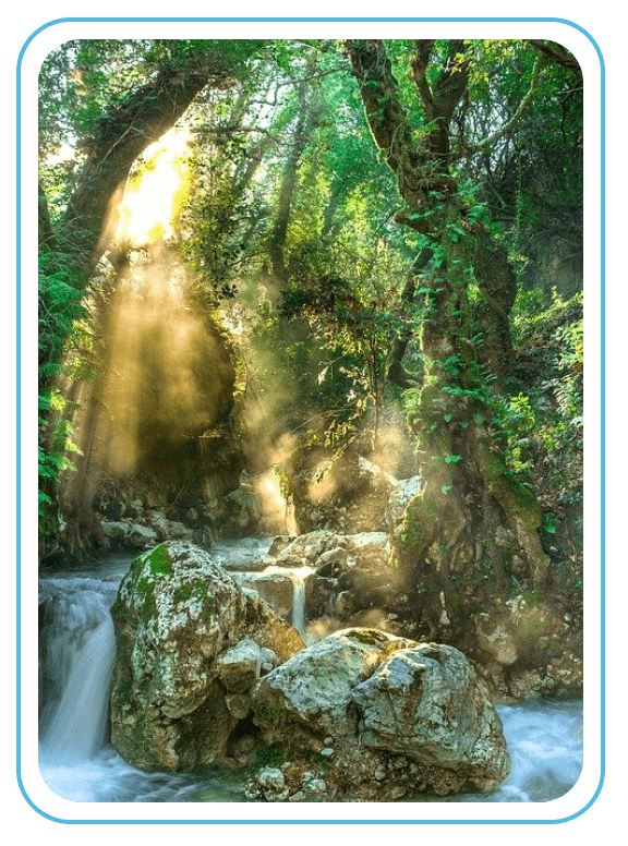 sunlight-waterfall-full-border