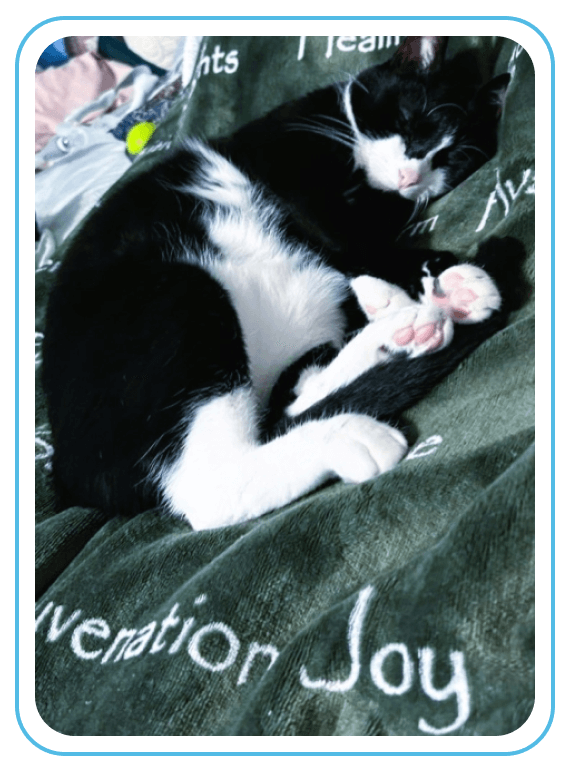 Sensory-friendly Healing Environment