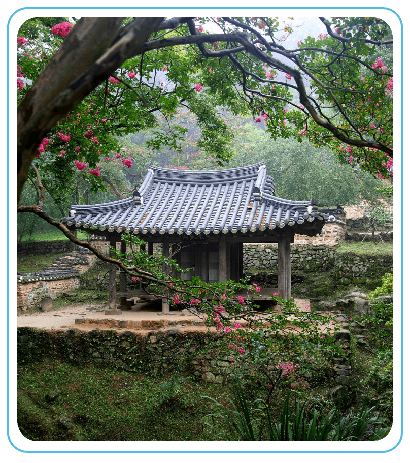 columbiapsychology-healing garden